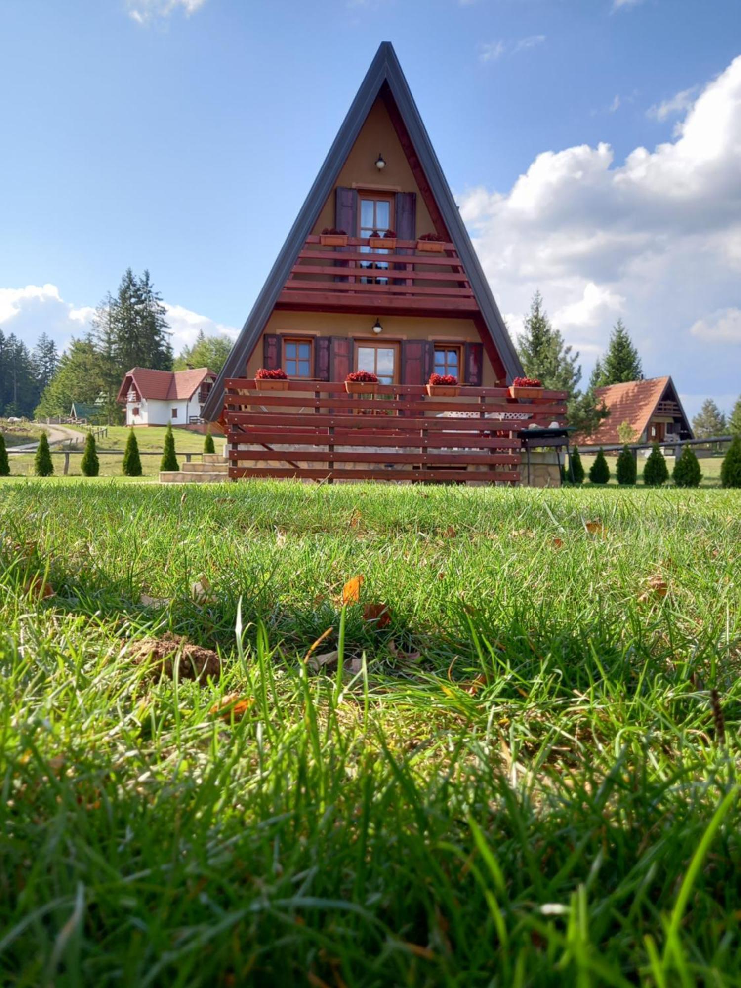 Mountain House Tadic 1 Villa Bajina Basta Buitenkant foto