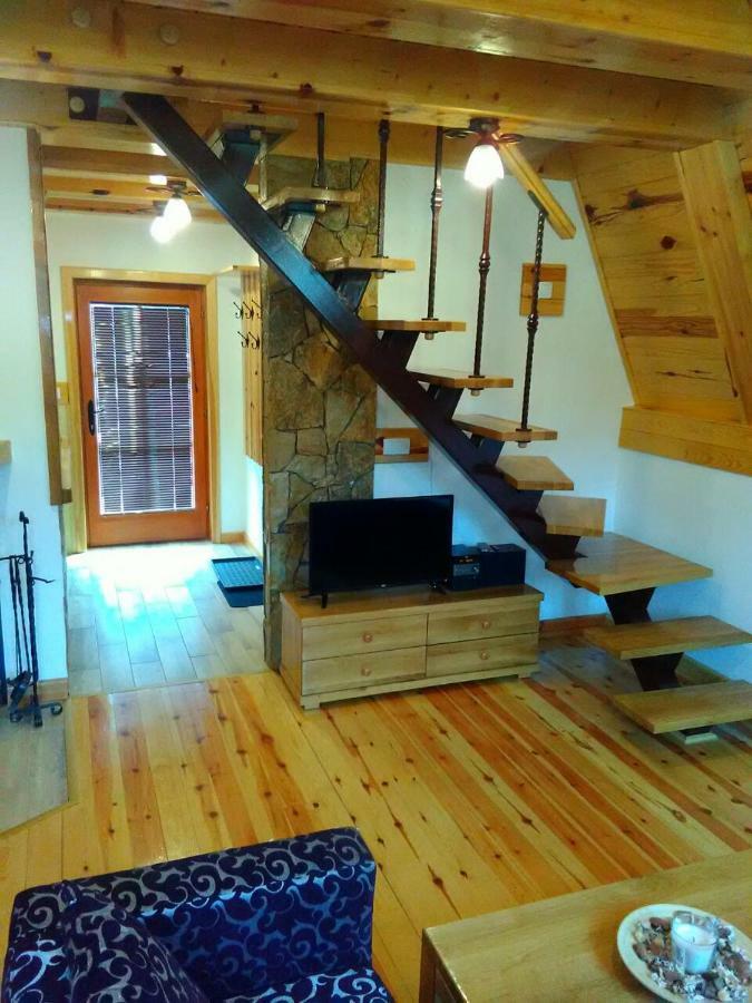 Mountain House Tadic 1 Villa Bajina Basta Buitenkant foto