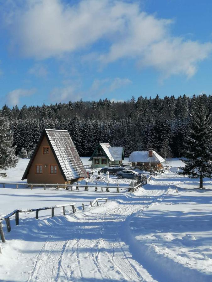 Mountain House Tadic 1 Villa Bajina Basta Buitenkant foto