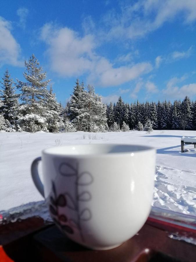 Mountain House Tadic 1 Villa Bajina Basta Buitenkant foto