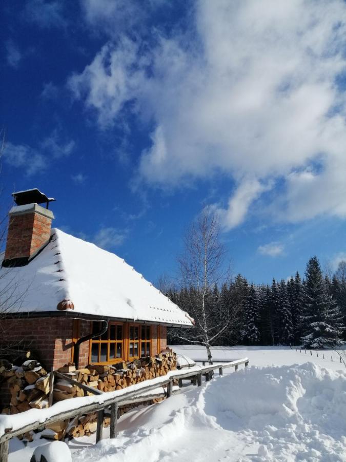 Mountain House Tadic 1 Villa Bajina Basta Buitenkant foto